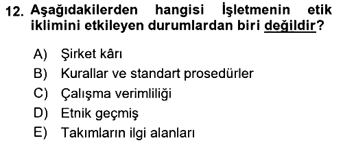 Sağlık İşletmelerinde Davranış 2023-2024 Dönem Sonu Sınavı - 12. soru