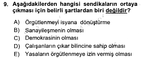 Sağlık İşletmelerinde İnsan Kaynakları Yönetimi 2023-2024 Dönem Sonu Sınavı - 9. soru