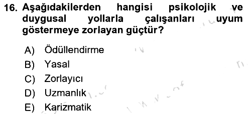 Sağlık İşletmelerinde Yönetim 2023-2024 Ara Sınav - 16. soru