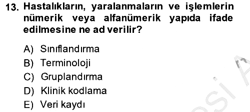 Sağlık Kurumlarında Bilgi Sistemleri 2014-2015 Ara Sınav - 13. soru