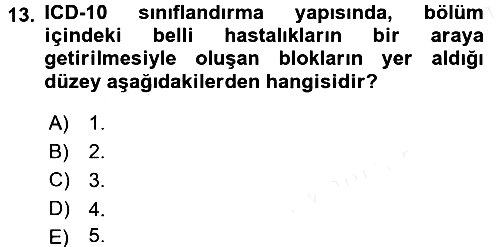Sağlık Kurumlarında Bilgi Sistemleri 2015-2016 Ara Sınav - 13. soru