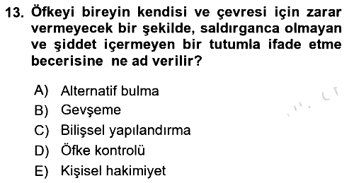 Sağlık Kurumlarında İletişim 2025-2026 Ara Sınav - 13. soru