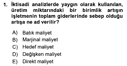 Sağlık Kurumlarında Maliyet Muhasebesi 2024-2025 Ara Sınav - 1. soru
