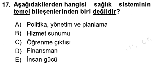 Sağlık Politikaları 2024-2025 Ara Sınav - 17. soru