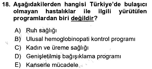 Sağlık Politikaları 2024-2025 Ara Sınav - 18. soru