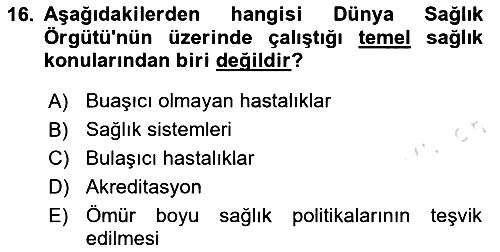 Sağlık Politikaları 2024-2025 Dönem Sonu Sınavı - 16. soru