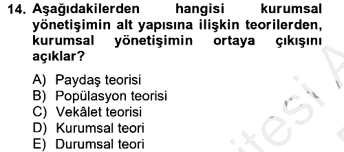 Stratejik Yönetim 2 2012-2013 Dönem Sonu Sınavı - 14. soru