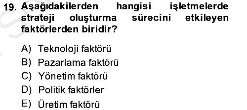 Stratejik Yönetim 2 2013-2014 Dönem Sonu Sınavı - 19. soru