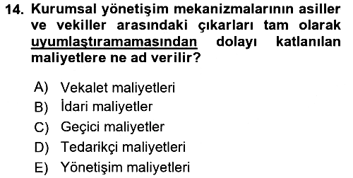 Stratejik Yönetim 2 2016-2017 Dönem Sonu Sınavı - 14. soru