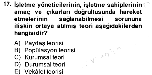 Stratejik Yönetim 2 2013-2014 Tek Ders Sınavı - 17. soru
