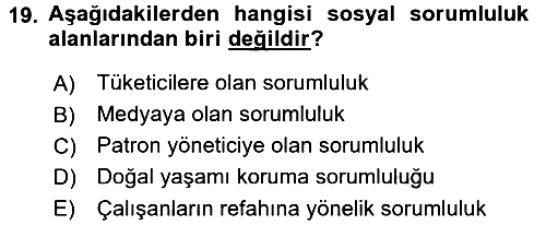 Stratejik Yönetim 2 2015-2016 Tek Ders Sınavı - 19. soru