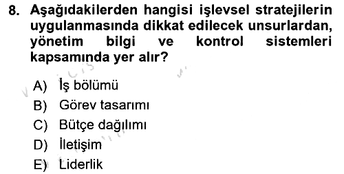 Stratejik Yönetim 2 2023-2024 Yaz Okulu Sınavı - 8. soru