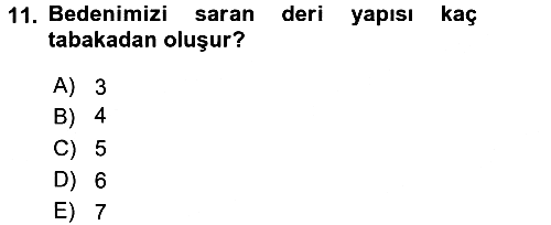 Temel İlkyardım Bilgisi 2016-2017 3 Ders Sınavı - 11. soru