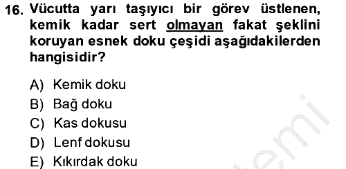 Temel İlkyardım Bilgisi 2014-2015 Ara Sınav - 16. soru