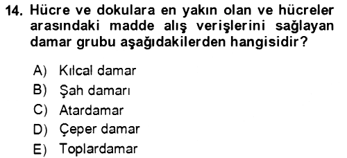 Temel İlkyardım Bilgisi 2021-2022 Ara Sınav - 14. soru