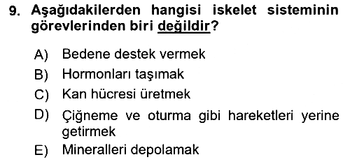 Temel İlkyardım Bilgisi 2022-2023 Yaz Okulu Sınavı - 9. soru