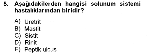 Temel Sağlık Hizmetleri 2012-2013 Ara Sınav - 5. soru