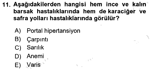 Temel Sağlık Hizmetleri 2024-2025 Ara Sınav - 11. soru
