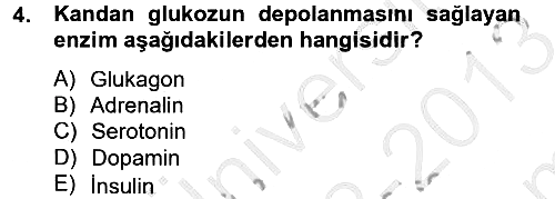 Temel Sağlık Hizmetleri 2012-2013 Dönem Sonu Sınavı - 4. soru