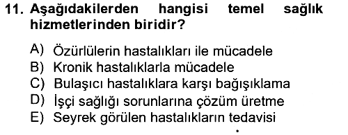 Temel Sağlık Hizmetleri 2012-2013 Dönem Sonu Sınavı - 11. soru