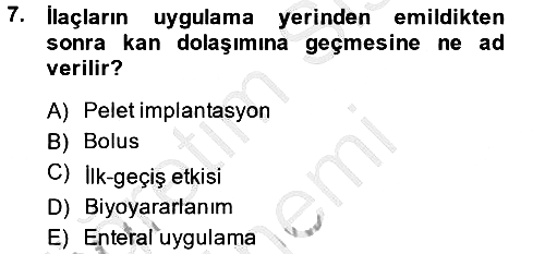 Temel Sağlık Hizmetleri 2013-2014 Dönem Sonu Sınavı - 7. soru