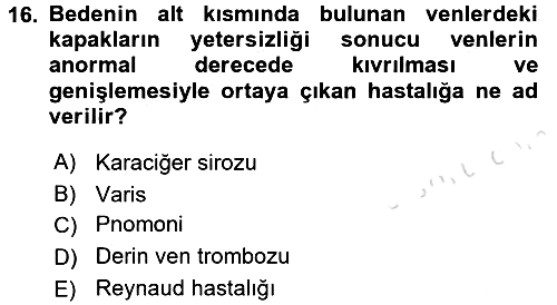 Temel Sağlık Hizmetleri 2016-2017 Dönem Sonu Sınavı - 16. soru