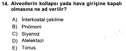 Temel Sağlık Hizmetleri 2024-2025 Dönem Sonu Sınavı - 14. soru