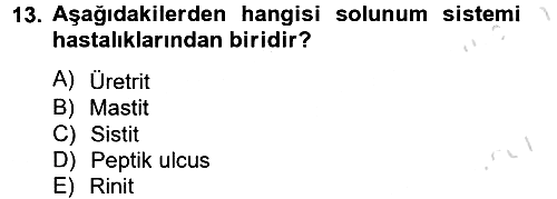 Temel Sağlık Hizmetleri 2013-2014 Tek Ders Sınavı - 13. soru