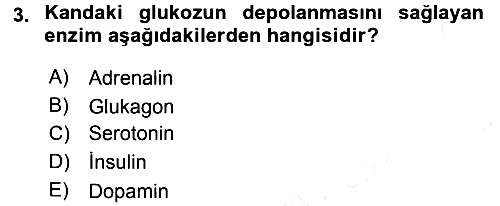 Temel Sağlık Hizmetleri 2015-2016 Tek Ders Sınavı - 3. soru