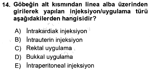 Temel Sağlık Hizmetleri 2020-2021 Yaz Okulu Sınavı - 14. soru
