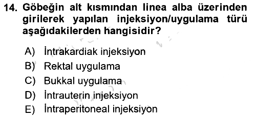 Temel Sağlık Hizmetleri 2021-2022 Yaz Okulu Sınavı - 14. soru