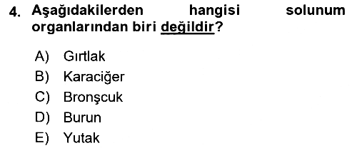 Temel Sağlık Hizmetleri 2022-2023 Yaz Okulu Sınavı - 4. soru