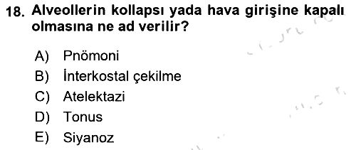 Temel Sağlık Hizmetleri 2022-2023 Yaz Okulu Sınavı - 18. soru