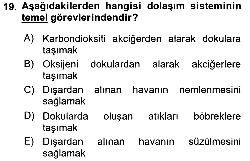 Temel Sağlık ve Hastalık Bilgisi 2017-2018 3 Ders Sınavı - 19. soru