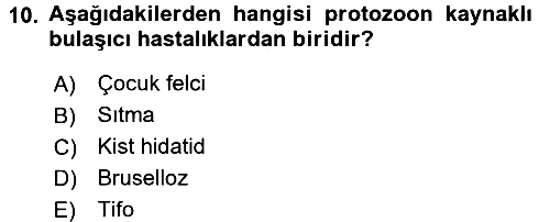 Temel Sağlık ve Hastalık Bilgisi 2015-2016 Dönem Sonu Sınavı - 10. soru