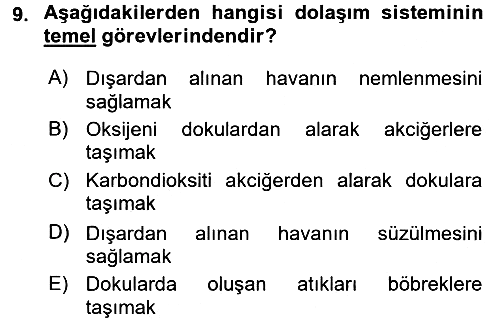 Temel Sağlık ve Hastalık Bilgisi 2017-2018 Dönem Sonu Sınavı - 9. soru