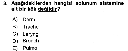Tıp Terimleri 2017-2018 3 Ders Sınavı - 3. soru