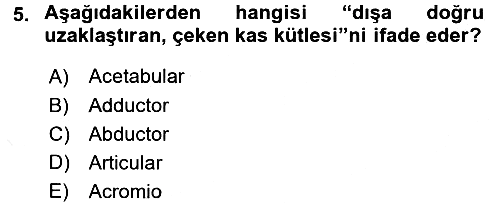 Tıp Terimleri 2017-2018 3 Ders Sınavı - 5. soru