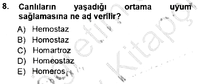Tıp Terimleri 2012-2013 Ara Sınav - 8. soru