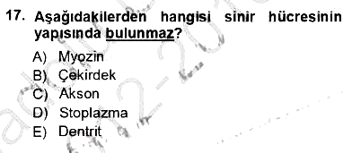 Tıp Terimleri 2012-2013 Ara Sınav - 17. soru