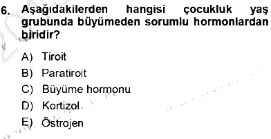 Tıp Terimleri 2013-2014 Ara Sınav - 6. soru
