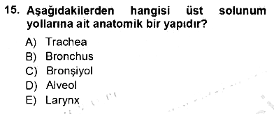 Tıp Terimleri 2013-2014 Ara Sınav - 15. soru