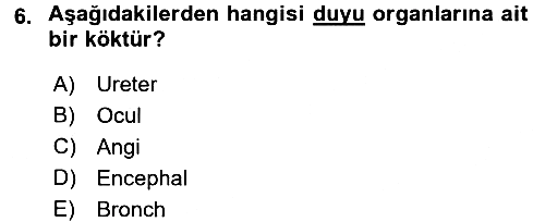 Tıp Terimleri 2016-2017 Ara Sınav - 6. soru