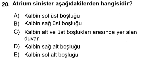 Tıp Terimleri 2016-2017 Ara Sınav - 20. soru
