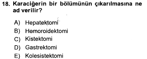 Tıp Terimleri 2017-2018 Ara Sınav - 18. soru