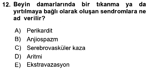 Tıp Terimleri 2019-2020 Ara Sınav - 12. soru