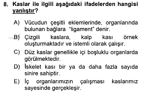 Tıp Terimleri 2022-2023 Ara Sınav - 8. soru