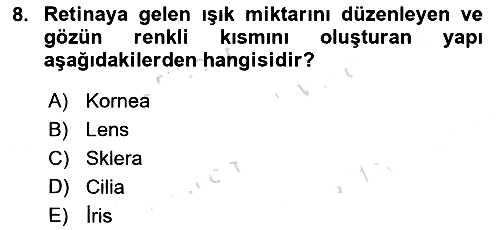 Tıp Terimleri 2025-2026 Ara Sınav - 8. soru