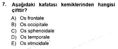 Tıp Terimleri 2012-2013 Dönem Sonu Sınavı - 7. soru