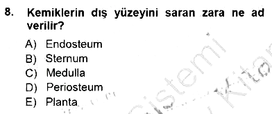 Tıp Terimleri 2012-2013 Dönem Sonu Sınavı - 8. soru